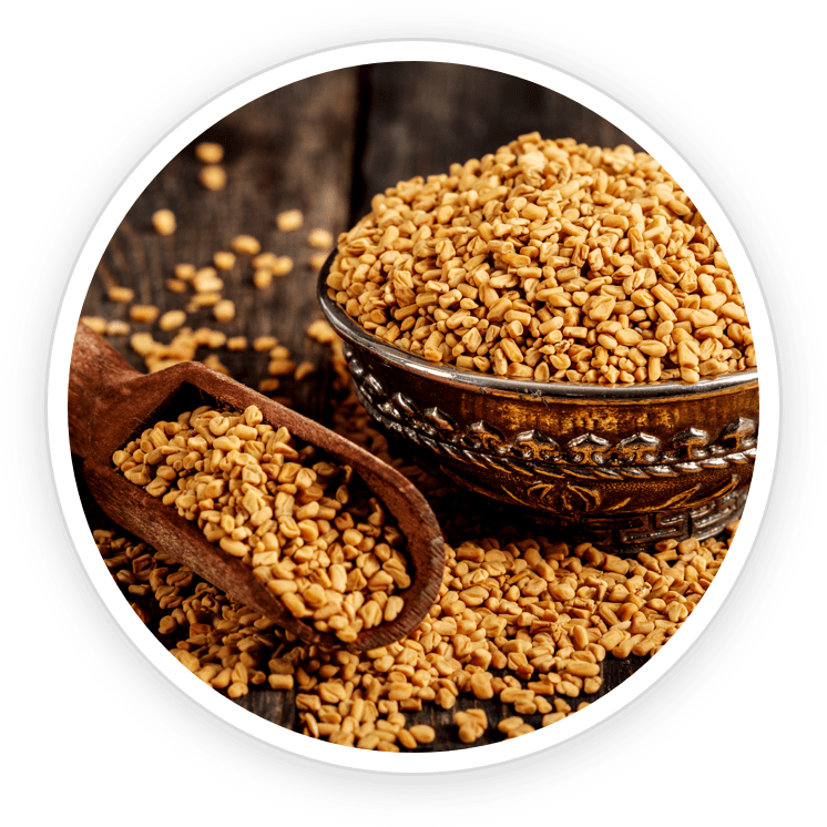 Fenugreek.png