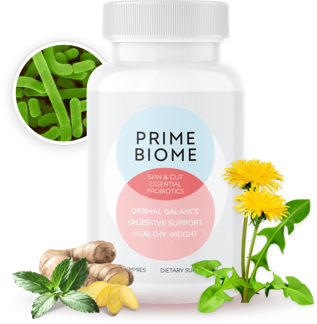 Is-PrimeBiome-a-Scam-or-Legit-Alert.png